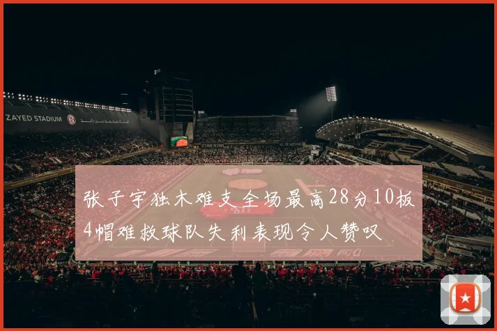 张子宇独木难支全场最高28分10板4帽难救球队失利表现令人赞叹